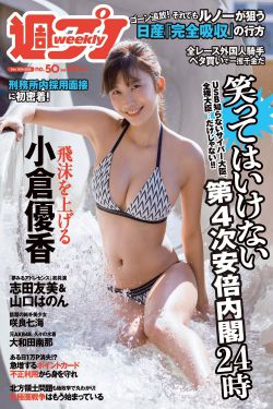 南风知我意 电视剧